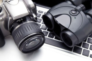 Private Investigation